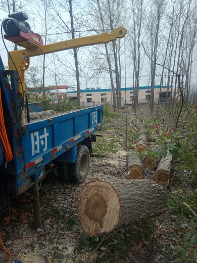 車(chē)載小吊機(jī)使用案例